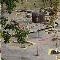FOLLY FOREST _ A Dance Floor for 100 Trees